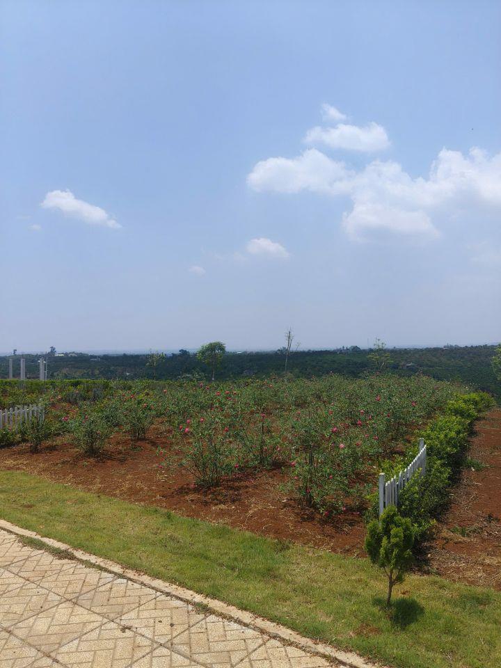 chính chủ bán đất ven đà lạt sổ sẵn 