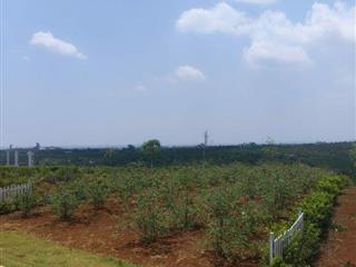 chính chủ bán đất ven đà lạt sổ sẵn 