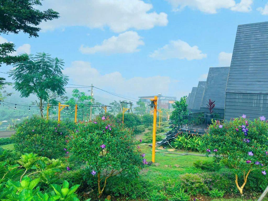 giá chưa từng có chủ ngộp thanh lý gấp lô đất 200m2 view rừng thông nguyên sinh chỉ 700tr