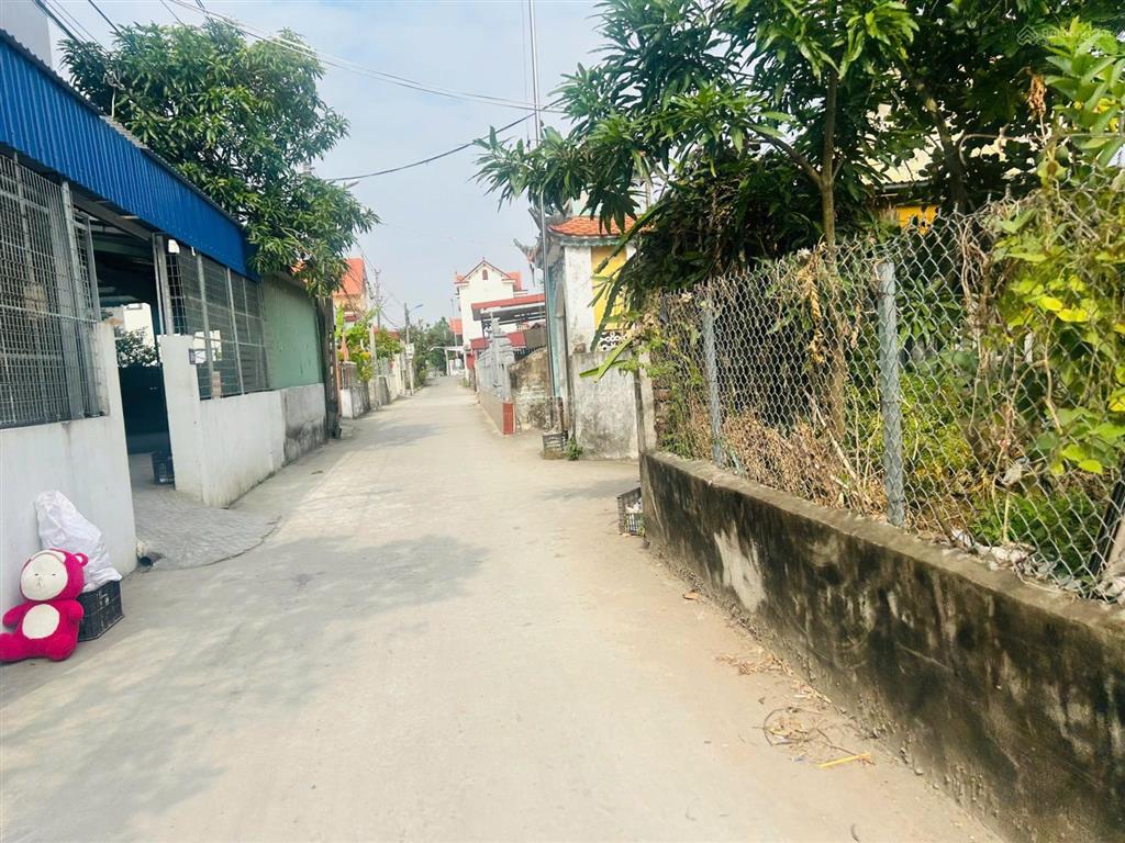 Lô đất tdp quang trung phường minh đức, đồ sơn