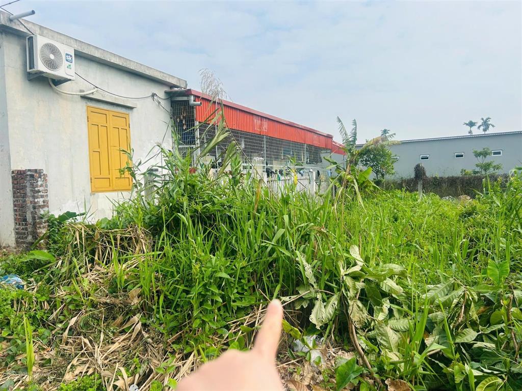 Lô đất tdp quang trung phường minh đức, đồ sơn