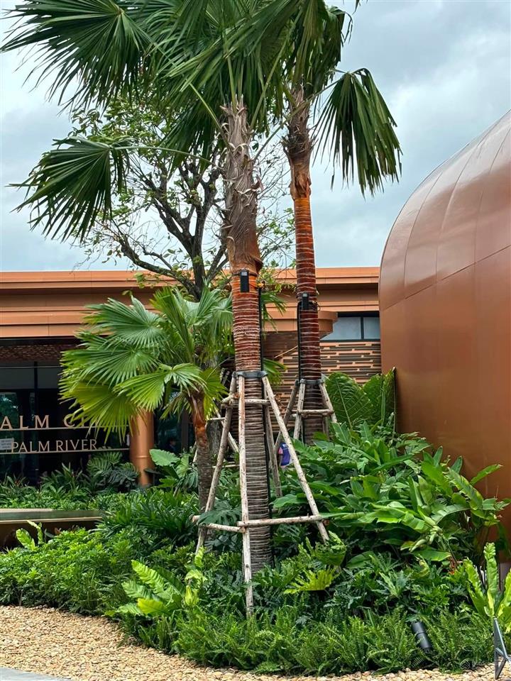 Bán dự án palm river căn hộ cao cấp view sông quận 2