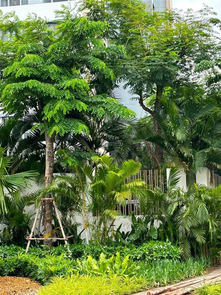 Bán dự án palm river căn hộ cao cấp view sông quận 2