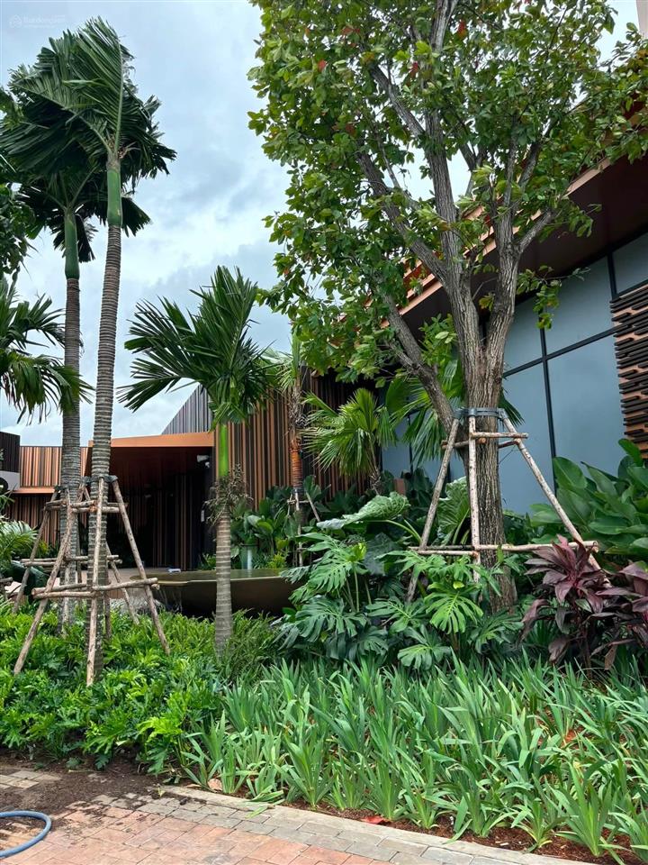 Bán dự án palm river căn hộ cao cấp view sông quận 2