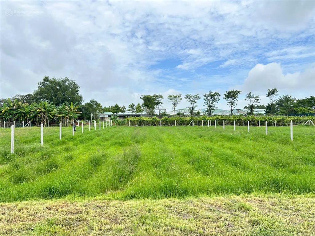 Đất xã thái mỹ 810m2 có sẵn 40 m2 thổ cư giá 1.4 tỷ tl chính chủ, sổ riêng