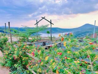 ✨ LÔ ĐẤT ĐẸP HIẾM CÓ TẠI LỘC NGÃI – BẢO LÂM | GIÁ CHỈ 900 TRIỆU ✨