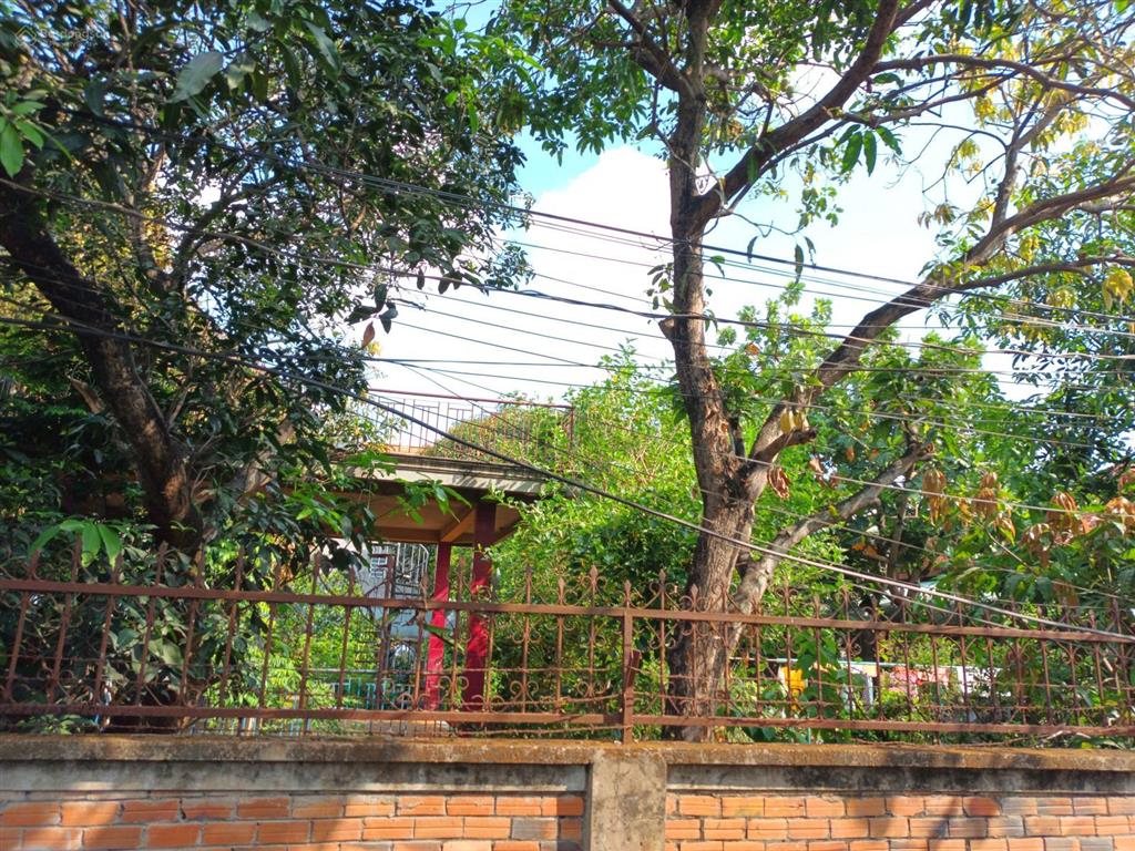 Phù hợp chdv phân lô hơn 1500m2 ngang 50m sổ vuông fun thổ cư đường rộng 6m  linh xuân thủ đức