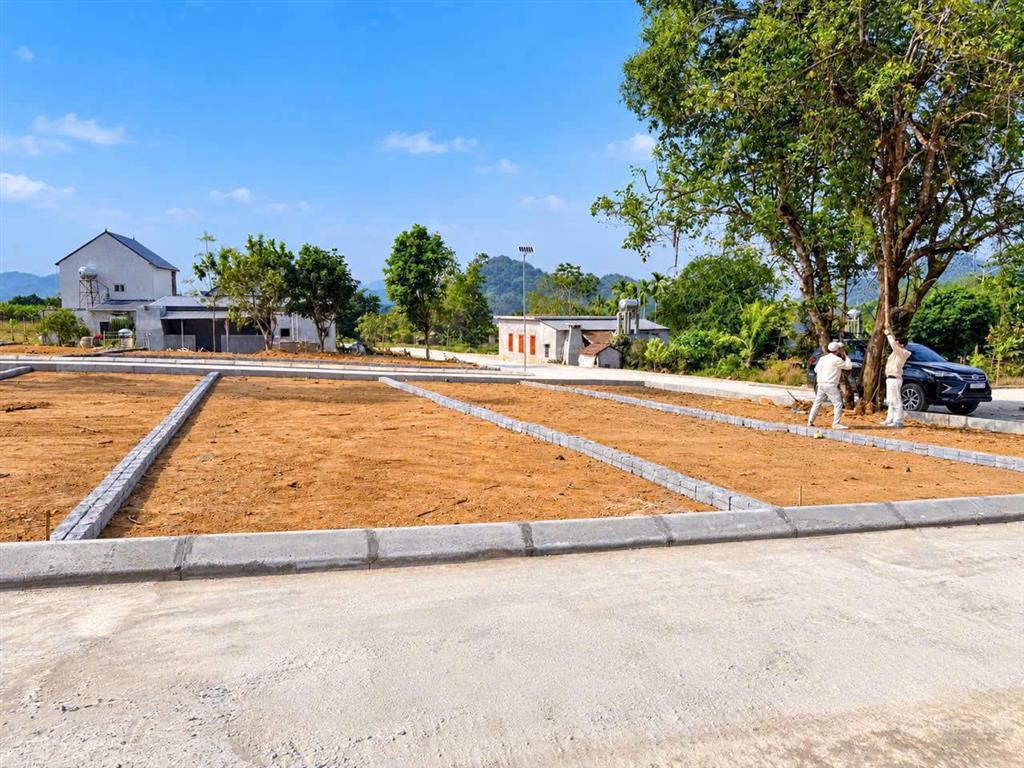 Anh chị quan tâm đất rẻ thì alo em có ở xã thạch quảng thanh hóa, gần đường mòn hcm