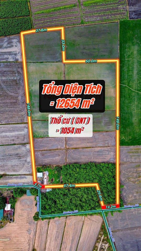 Đất 12654m2 đường long thuận ấp cao su cũ