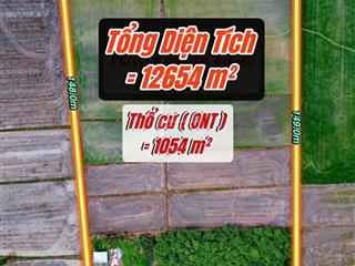 Đất 12654m2 đường long thuận ấp cao su cũ