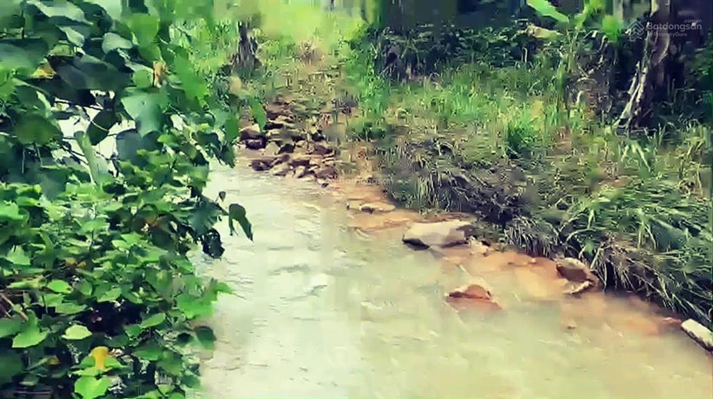 Chính chủ bán đất diện tích 3,08ha ở khu vực đạ kho, lâm đồng