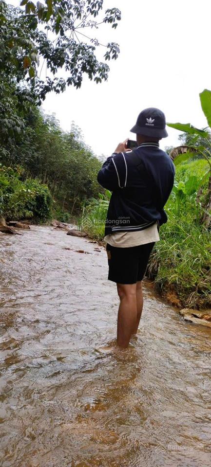 Chính chủ bán đất diện tích 3,08ha ở khu vực đạ kho, lâm đồng