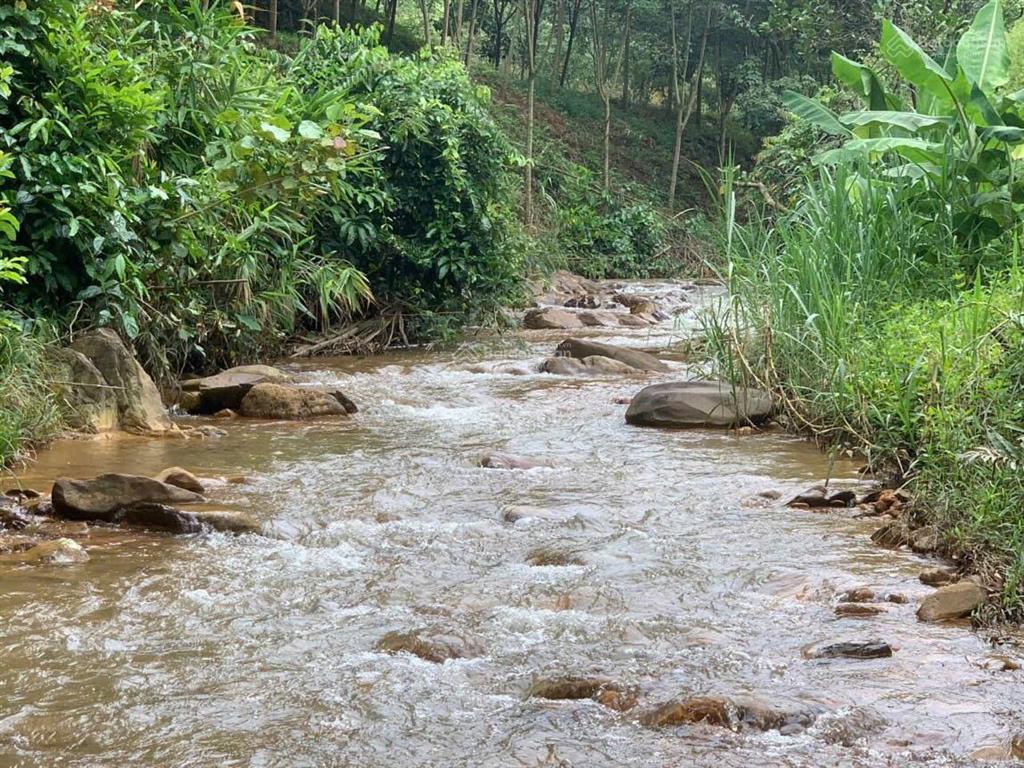 Chính chủ bán đất diện tích 3,08ha ở khu vực đạ kho, lâm đồng