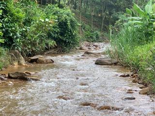 Chính chủ bán đất diện tích 3,08ha ở khu vực đạ kho, lâm đồng