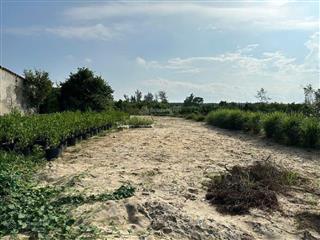 Đất thổ cư, đường đồng nà 1, xã cẩm hà, thành phố hội an