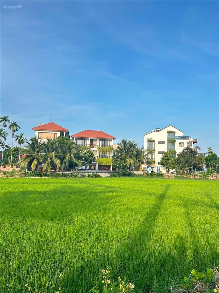 Bán nhanh lô đất, 1000m2, view lúa, an mỹ, hội an, đà nẵng
gần 1000m2 có 350m2 đất ở còn lại đ