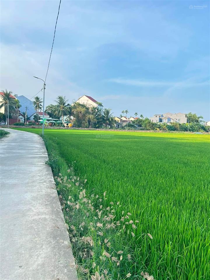 Bán nhanh lô đất, 1000m2, view lúa, an mỹ, hội an, đà nẵng
gần 1000m2 có 350m2 đất ở còn lại đ