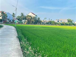 Bán nhanh lô đất, 1000m2, view lúa, an mỹ, hội an, đà nẵng
gần 1000m2 có 350m2 đất ở còn lại đ