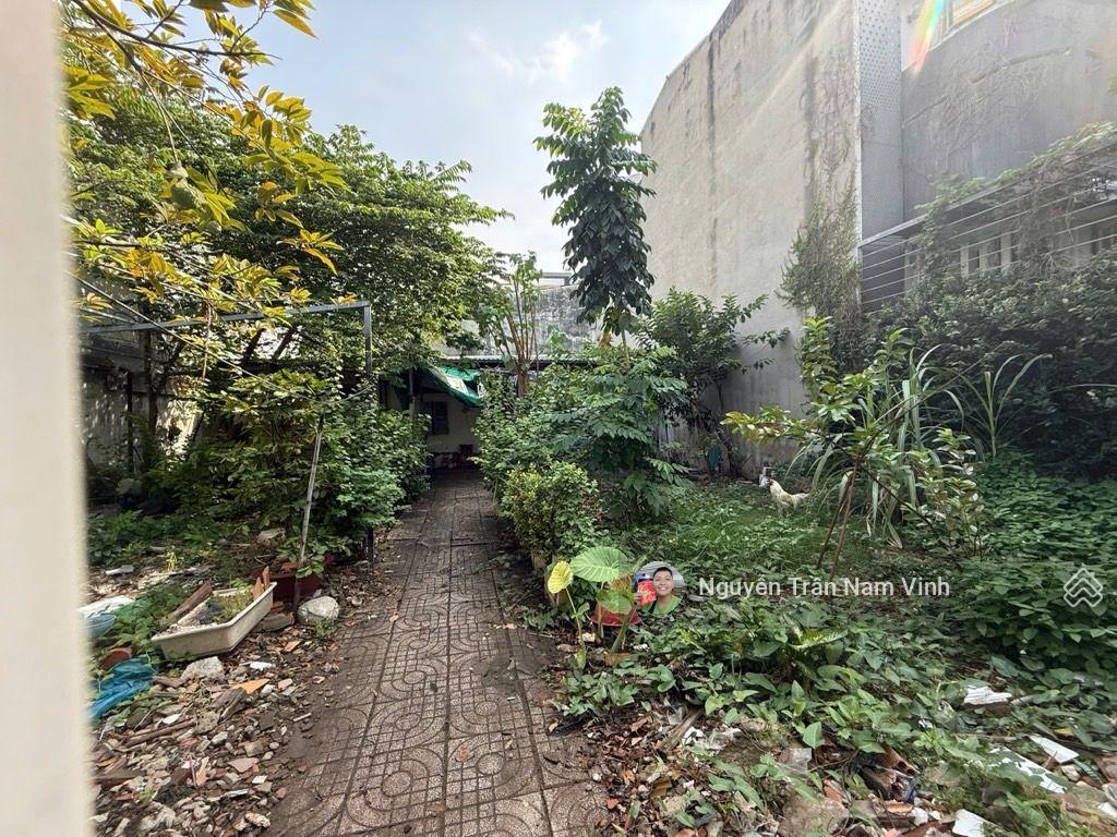 Bán nhà nguyễn thị thập gần lotte 226m2 ngang 10m dài 22.5m có sân vườn lớn chỉ 6.5 tỷ thương lượng