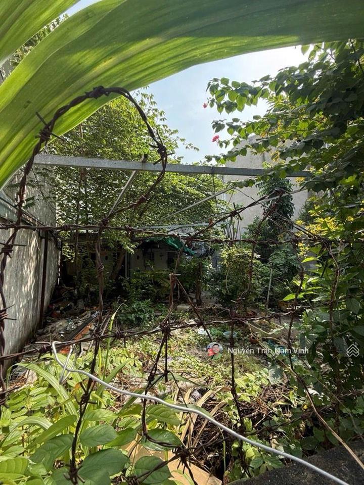 Bán nhà nguyễn thị thập gần lotte 226m2 ngang 10m dài 22.5m có sân vườn lớn chỉ 6.5 tỷ thương lượng
