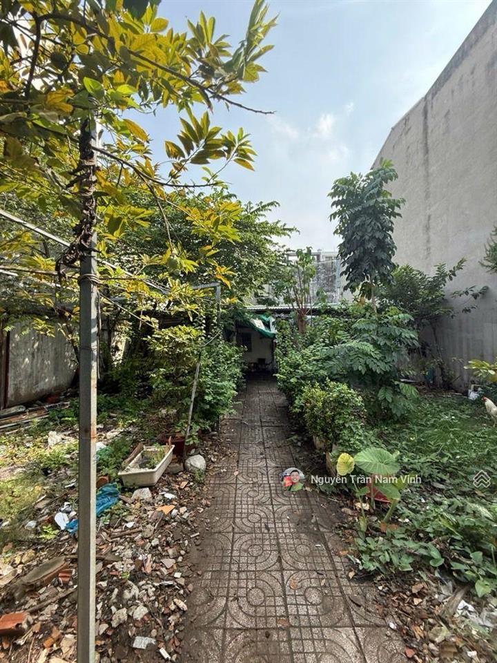 Bán nhà nguyễn thị thập gần lotte 226m2 ngang 10m dài 22.5m có sân vườn lớn chỉ 6.5 tỷ thương lượng