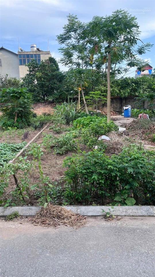 Bán đất hàn lạc, phú thị, gia lâm, hà nội đường ô tô tránh xe máy 47.5m chỉ 4 tỷ! 0387 843 ***