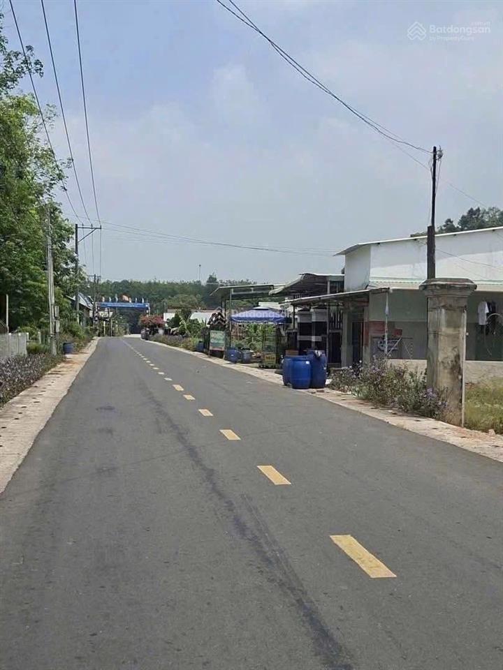 Ông bà lớn tuổi không làm vườn được bán nhanh vườn sầu riêng, 3.000 mét vuông giá 160.000.000đ