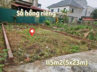 Bán gấp lô đất 115m2 giá 1ty2 đường hồ thị lai xã tân phú trung củ chi gần trường học sổ hồng riêng