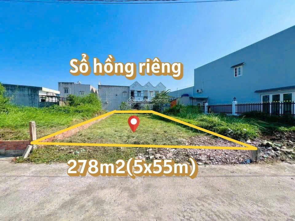 Bán đất 278m² đường cây trôm mỹ khánh, xã thái mỹ củ chi gần tỉnh lộ 7  sổ hồng riêng
