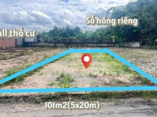 Bán gấp lô đất 101m² giá 900tr đường lê minh nhật, xã tân thông hội, củ chi gần chợ  sổ hồng riêng