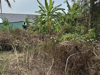 Đất lớn giá rẻ, xây kho xưởng, biệt thự nhà vườn