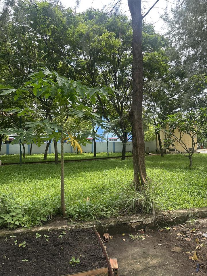 Bán đất đường số 1a, kdc an phú tây, bình chánh ven dự án đô thị đại học vin hưng long