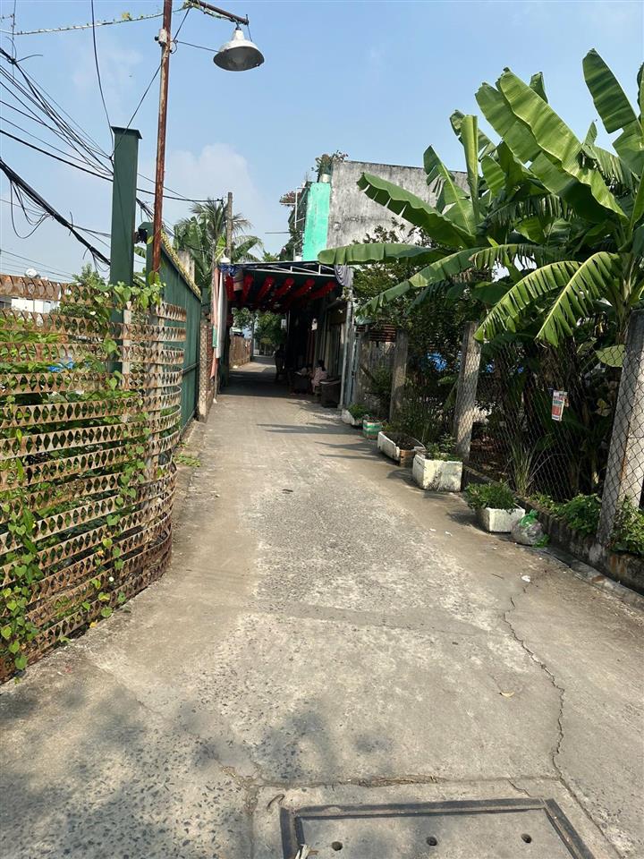 Bán đất lô góc 2 mặt tiền 1/ đường trịnh như khuê, xã bình chánh giá rẻ đầu tư xây ở