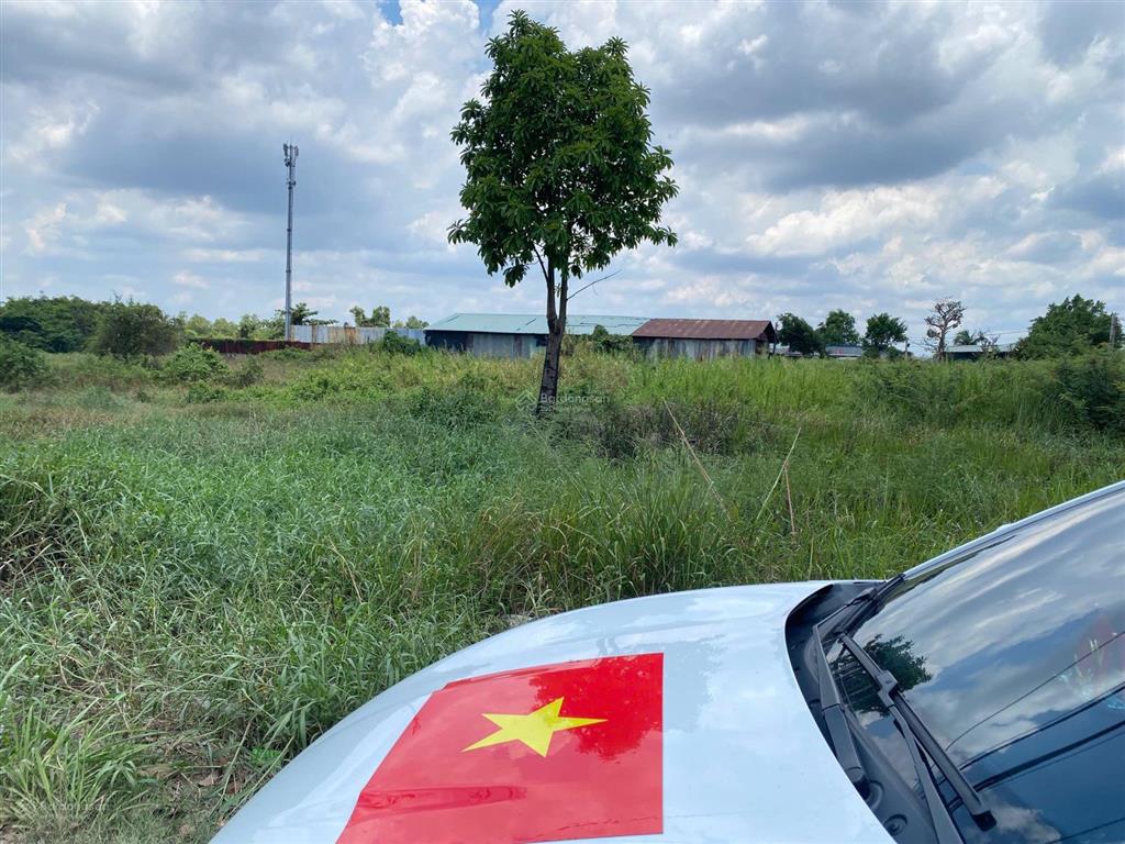 Bán đất nông nghiệp mt đường trần đại nghĩa, xã lê minh xuân, bình chánh