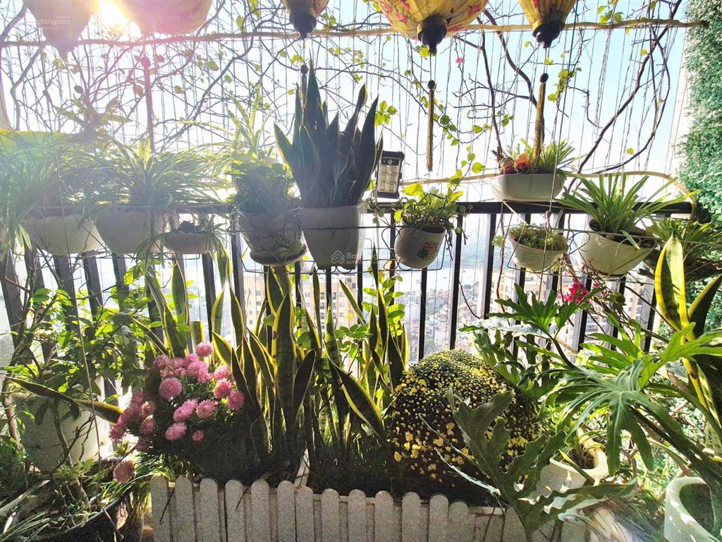 Chính chủ cần bán gấp nhà trước tết