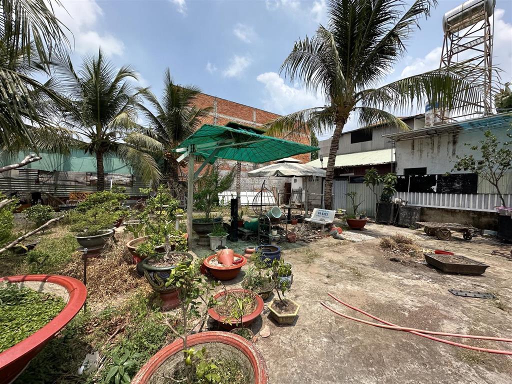Bidv thanh lý quán café white house mặt tiền tôn đức thắng, phú tân, an giang, 2.000,2m²