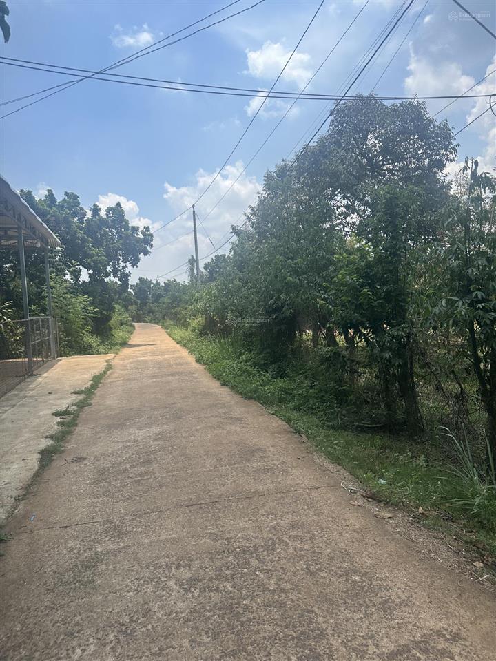 Bidv thanh lý đất lô góc xã xuân định, đồng nai (cũ là xuân bảo, cẩm mỹ, đồng nai), dt 3.349,5m2