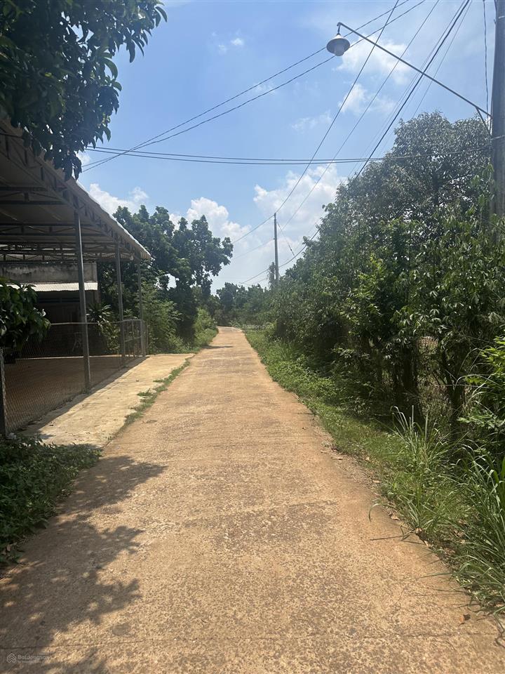 Bidv thanh lý đất lô góc xã xuân định, đồng nai (cũ là xuân bảo, cẩm mỹ, đồng nai), dt 3.349,5m2