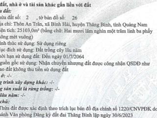 Bidv thanh lý quyền sử dụng đất diện tích 25103,0m² tại thôn an trân, xã thăng trường, đà nẵng