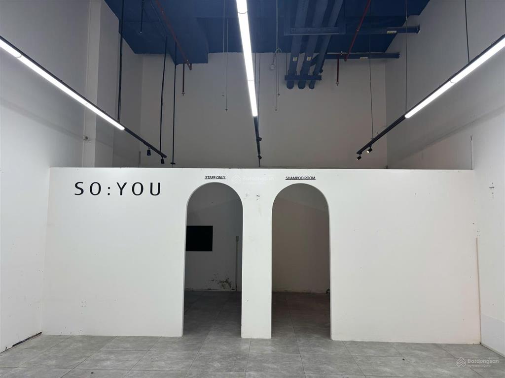 Chính chủ cho thuê căn shophouse the sun avenue  giá 27 triệu/tháng
