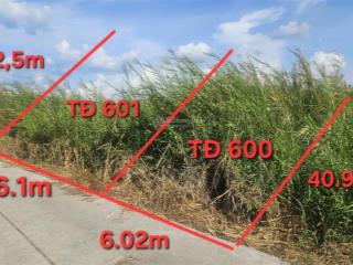 Giá đầu tư cặp đất full thổ 12x40  đoàn nguyễn tuấn