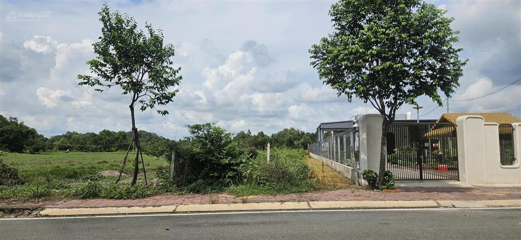 Mt mạc đĩnh chi  tân an (652,7m2) giá đầu tư chỉ 7,5tr/m2