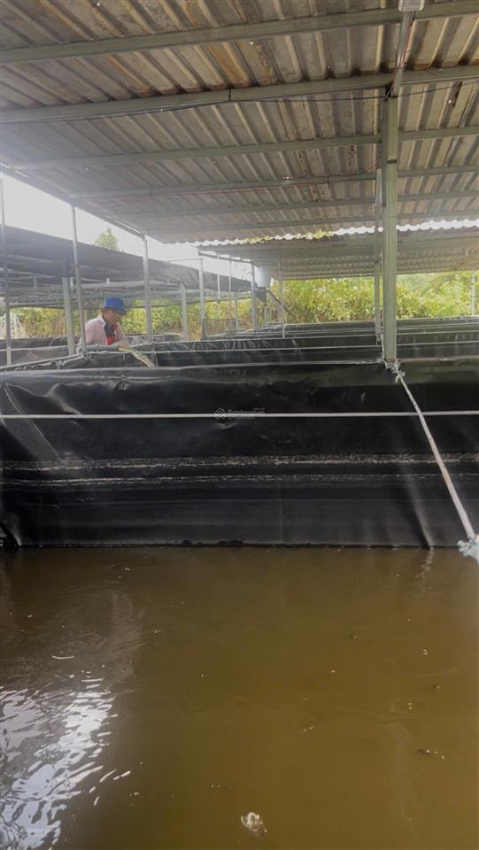 Bán nhà vườn nhà góc 2 mặt tiền 7.500m2, thổ cư 400m2 cách chợ hóc môn 500m, 100m x 75m