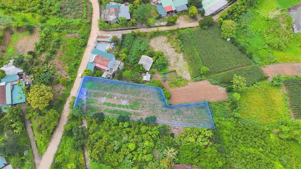 Chính chủ bán đất xã minh quang, ba vì 1.606m² giá chỉ 3,1 tỷ, đất lớn phù hợp làm nghỉ dưỡng