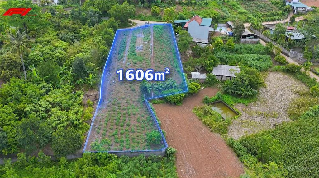 Chính chủ bán đất xã minh quang, ba vì 1.606m² giá chỉ 3,1 tỷ, đất lớn phù hợp làm nghỉ dưỡng