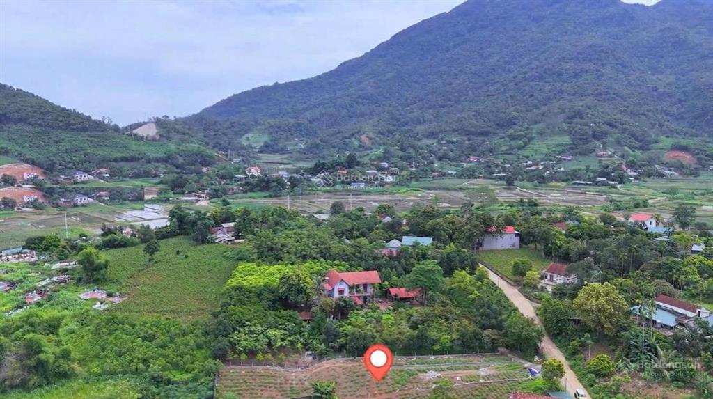 Chính chủ bán đất xã minh quang, ba vì 1.606m² giá chỉ 3,1 tỷ, đất lớn phù hợp làm nghỉ dưỡng