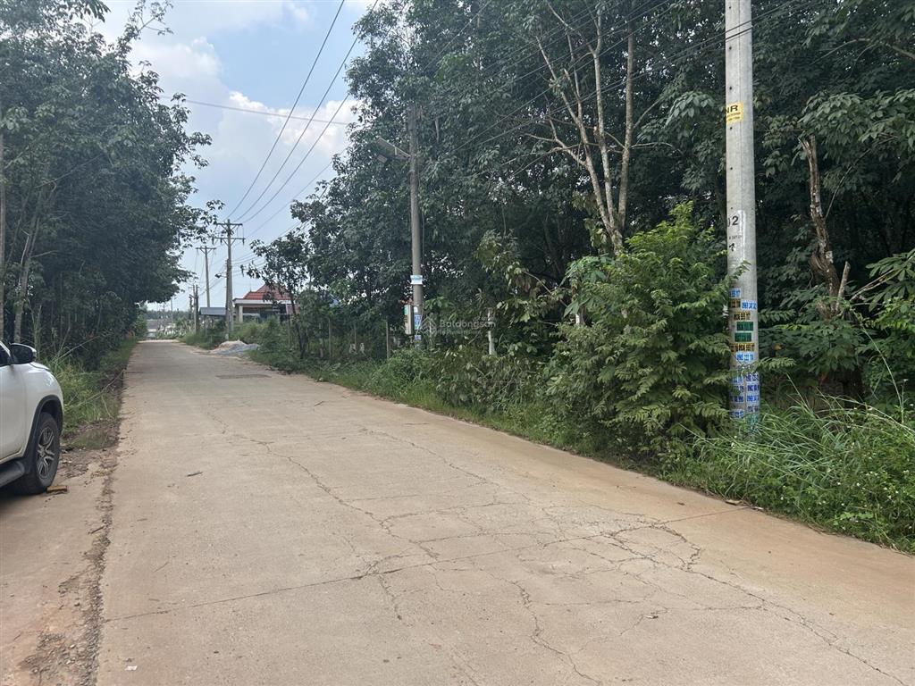 Chính chủ bán đất 570.8m2 (100m2 thổ cư) đường bình mỹ 45 (đường bình mỹ 27)