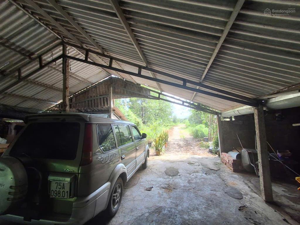 Chính chủ bán đất trang trại.....