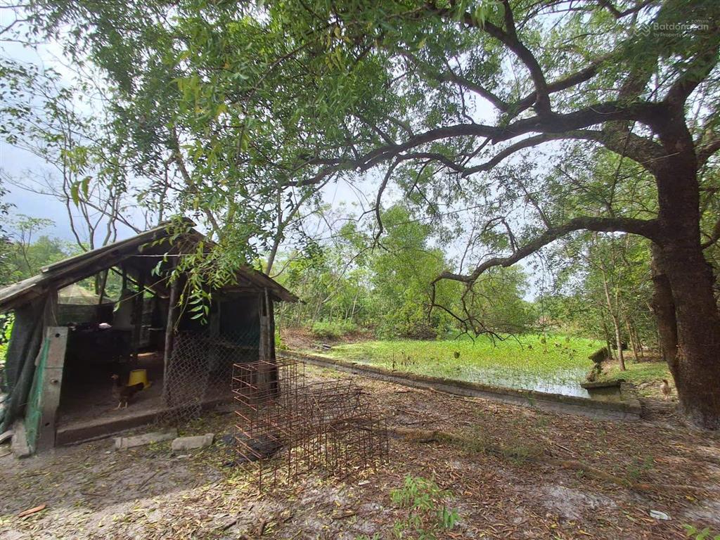 Chính chủ bán đất trang trại.....