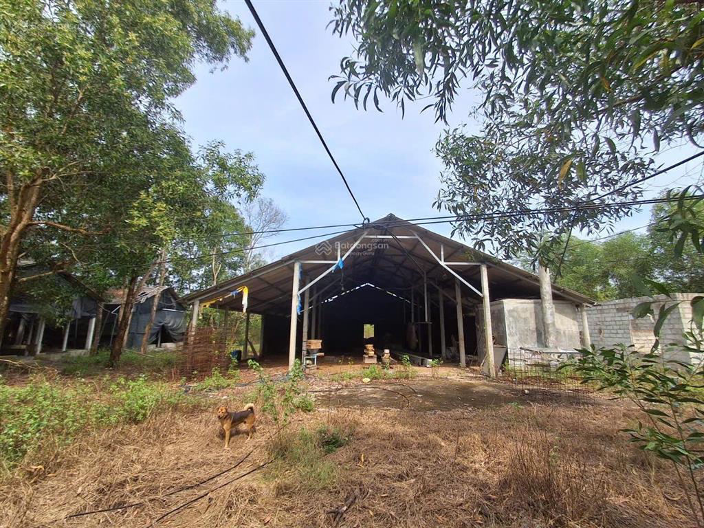 Chính chủ bán đất trang trại.....
